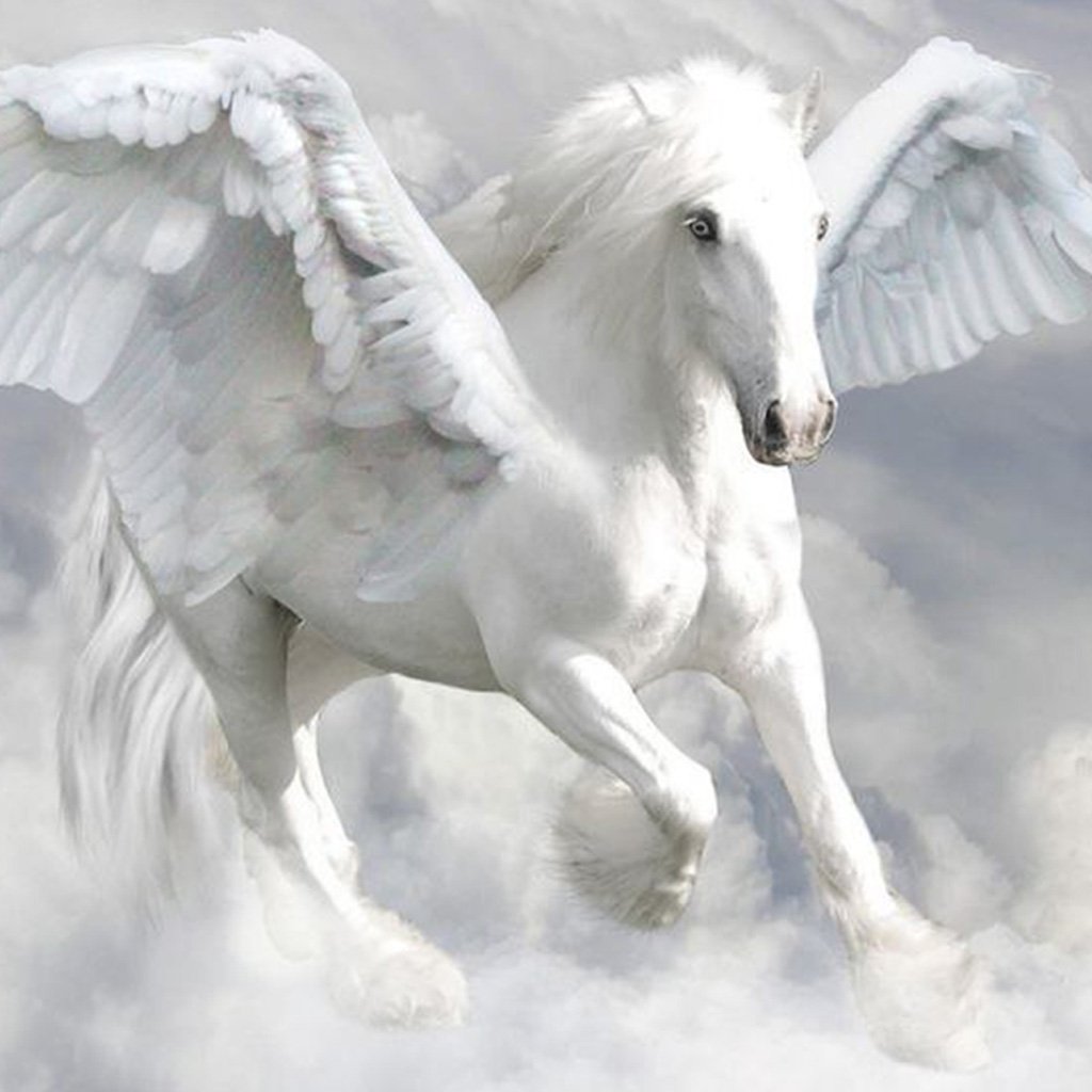 Pegasus